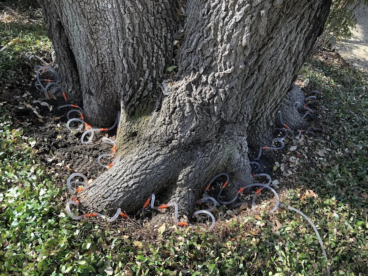 Detailed Shrub and Hedge Trimming job site in Red River