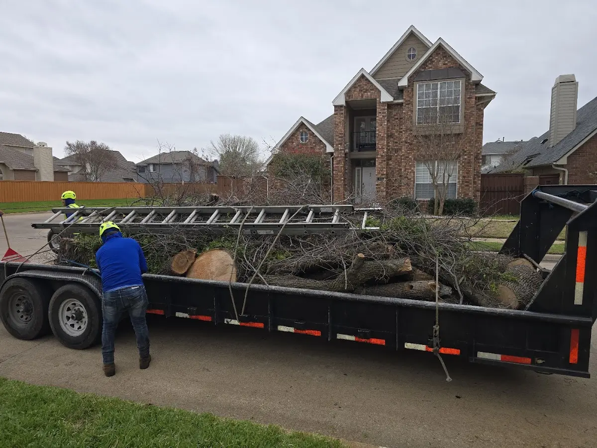 Expert Tree Fertilization with proper safety equipment in Red River